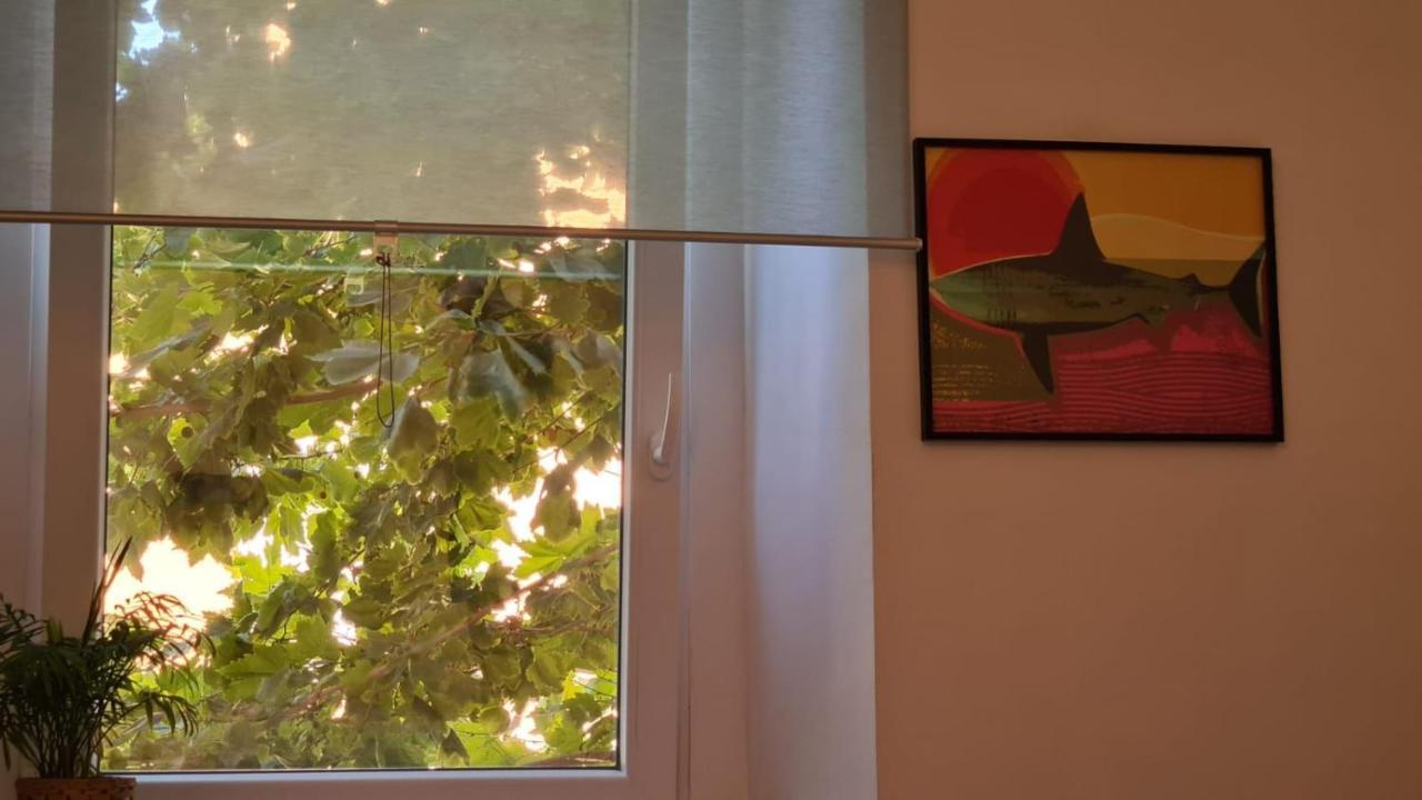 Ladispoli Apartment מראה חיצוני תמונה